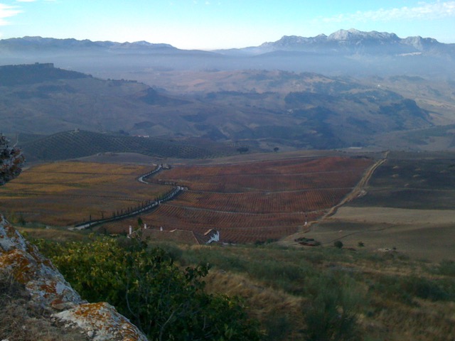 The view of the bodega from Acinipo. Photo © Karethe Linaae